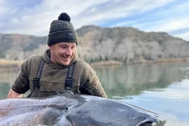 Đi câu cá, vô tình đụng 'quái ngư' khủng nặng 100kg