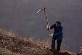 Cuốc đất đụng trúng báu vật, trưởng thôn vội vã báo chính quyền