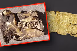 Đào đất trồng củ cải, vỡ bẫm vì tìm thấy 'kho báu' quý giá