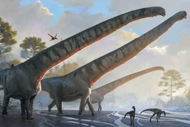 Ngắm vẻ ngoài 'hoàn hảo' của loài khủng long mới