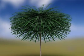 Lộ diện hóa thạch cổ thụ ngoài hành tinh 350 triệu năm cực hiếm 