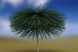 Lộ diện hóa thạch cổ thụ ngoài hành tinh 350 triệu năm cực hiếm 