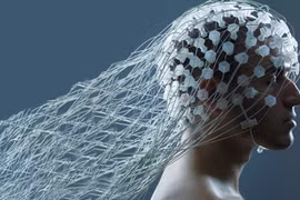 Hack cả giấc mơ: Viễn cảnh tương lai đáng sợ