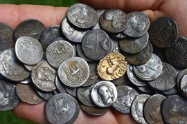  Lang thang trên cánh đồng, bất ngờ đụng trúng 'kho báu' khủng