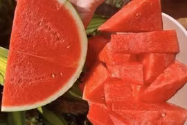 Ăn dưa hấu thường xuyên, chuyện gì xảy ra với sức khỏe?