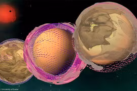 Những hành tinh đầy bụi bặm có thể tồn tại sự sống