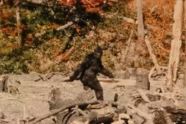 Xuất hiện tiếng hú rợn người nghi của quái vật Bigfoot huyền thoại