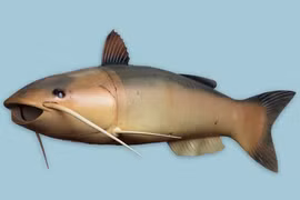 Những công cụ gián điệp siêu tinh vi của CIA, ngỡ ngàng số 8