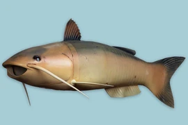 Những công cụ gián điệp siêu tinh vi của CIA, ngỡ ngàng số 8