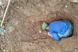 Lên núi đụng trúng quả trứng lạ, vỡ òa khi biết giá trị thật