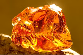 Hòn đá dùng chặn cửa hàng chục năm, ai ngờ là 'báu vật'