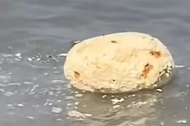 Nhặt được "vật thể lạ" ở biển, thanh niên chớp mắt đổi đời