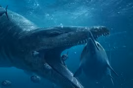 Giật mình quái vật biển răng nhọn hoắt, có thể nghiền nát ô tô