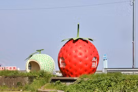 Những trạm xe bus độc lạ nhất thế giới, đẹp như tác phẩm nghệ thuật