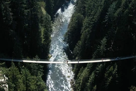 Những cây cầu nguy hiểm nhất thế giới, Việt Nam cũng góp mặt