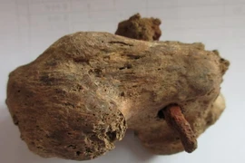 Phục dựng gương mặt người đàn ông bị đóng đinh 2.000 năm trước