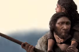 Không phải vượn, đây mới là tổ tiên đích thực của loài người?