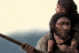 Không phải vượn, đây mới là tổ tiên đích thực của loài người?