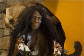 Bằng chứng tổ tiên loài người từng cạnh tranh sự sống với mãnh thú