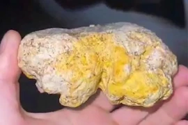 Hốt bạc tỷ khi đi dạo biển, ngư dân đụng trúng "báu vật" Trời ban nào? 