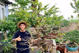 Khởi nghiệp thu hàng tỷ đồng/năm từ loại cây nhiều người ngăn cản