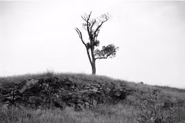 Quá khứ tang tóc của 'vùng đất phù thủy' Salem