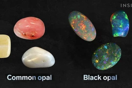 Đào đất tìm thấy vật thể lấp lánh, thợ mỏ reo lên sung sướng vì...