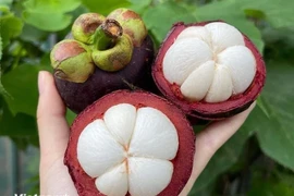 'Nữ hoàng trái cây' măng cụt có lợi thế nào cho sức khỏe?