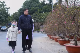 Chợ hoa Hà Nội nhộn nhịp ngày cuối năm