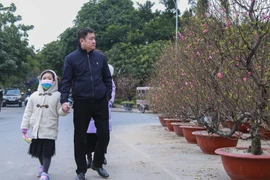 Chợ hoa Hà Nội nhộn nhịp ngày cuối năm