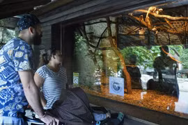 Khỉ đầu bông chết bí ẩn trong vườn thú Hong Kong: Loài cực hiếm