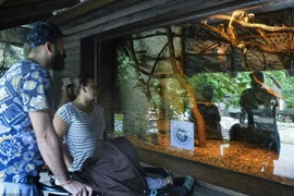 Khỉ đầu bông chết bí ẩn trong vườn thú Hong Kong: Loài cực hiếm