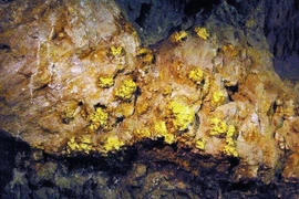 Phát hiện kho vàng gần 30 tấn ở Tây Bắc: Chuyên gia nói gì?