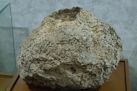  PGS Vũ Văn Tuyển... người đột phá trong bảo vệ đê điều
