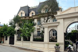 Làng toàn nhà giàu, biệt thự giữa vùng quê ở Việt Nam