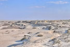 Bí ẩn về 'hòn đảo chết chóc' nhất Trái Đất