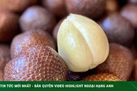  Loại quả vỏ như da rắn đang gây sốt chợ mạng