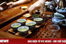 Sự khác biệt giữa uống trà và nước đun sôi để nguội: Loại nào lợi ích lớn hơn?