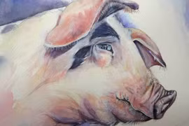 Top con giáp sinh ra phúc khí trời ban, càng hiền lành càng giàu sang