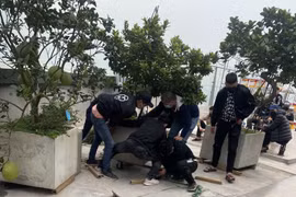 Chuyện lạ ở chung cư cao cấp Watermark hồ Tây: Ban quản lý làm thay... lực lượng cưỡng chế