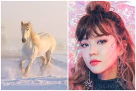 Ngày 20/11 Âm lịch: 3 con giáp hứng trọn xui xẻo