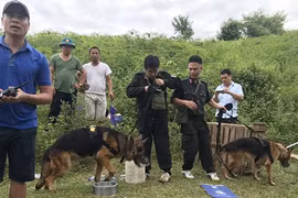 Gã chồng độc ác và án mạng lúc chiều tà