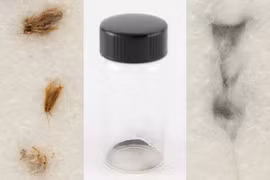 Đây là những con gián giá trị nhất thế giới, vì chúng đã ăn bụi mặt trăng