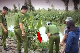 Hành trình phá án: Rùng rợn xác chết dưới đám lục bình 