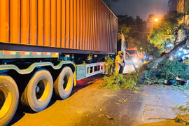 Hà Nội: Xe container va vào cây phượng, một học sinh nhập viện