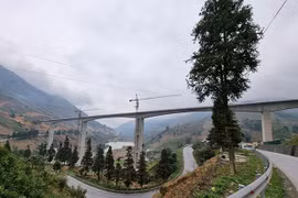 Chiêm ngưỡng cầu cạn Móng Sến có trụ cầu cao nhất Việt Nam