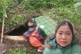 Vụ giết người, phi tang xác ở Thanh Hóa: Nghi phạm khai gì?