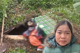 Vụ giết người, phi tang xác ở Thanh Hóa: Nghi phạm khai gì?