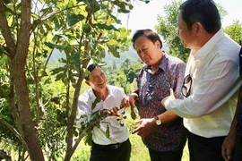 Một lần kết duyên ‘nữ hoàng’ 50 năm thu lợi, nhà giàu Dubai hỏi thăm