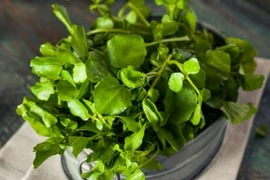 5 lợi ích sức khỏe tuyệt vời của rau cải xoong